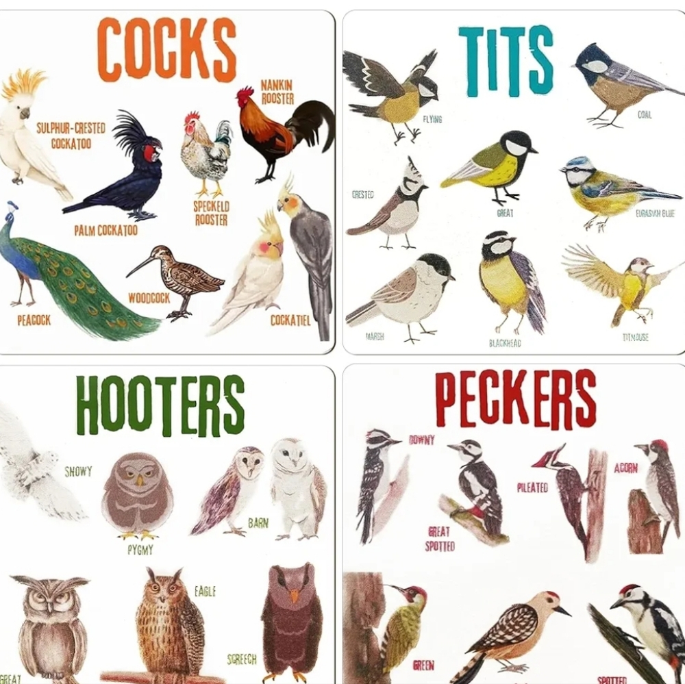 Bird Chart coasters - Picture 2 of 7